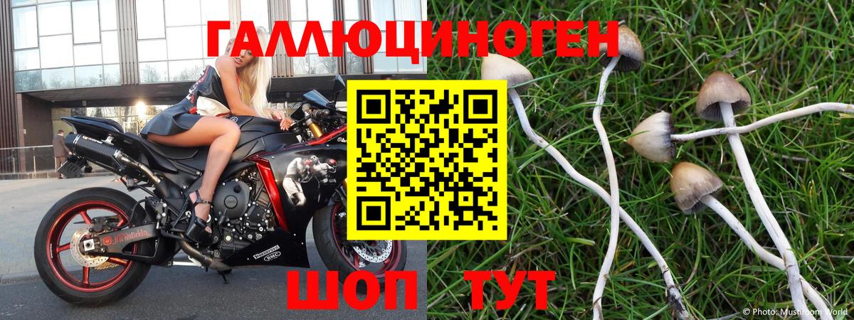 купить наркотики сайты  Галлюциногенные грибы мухоморы  Галлюциногенные грибы мицелий  Вход с VPN  Нижнекамск 